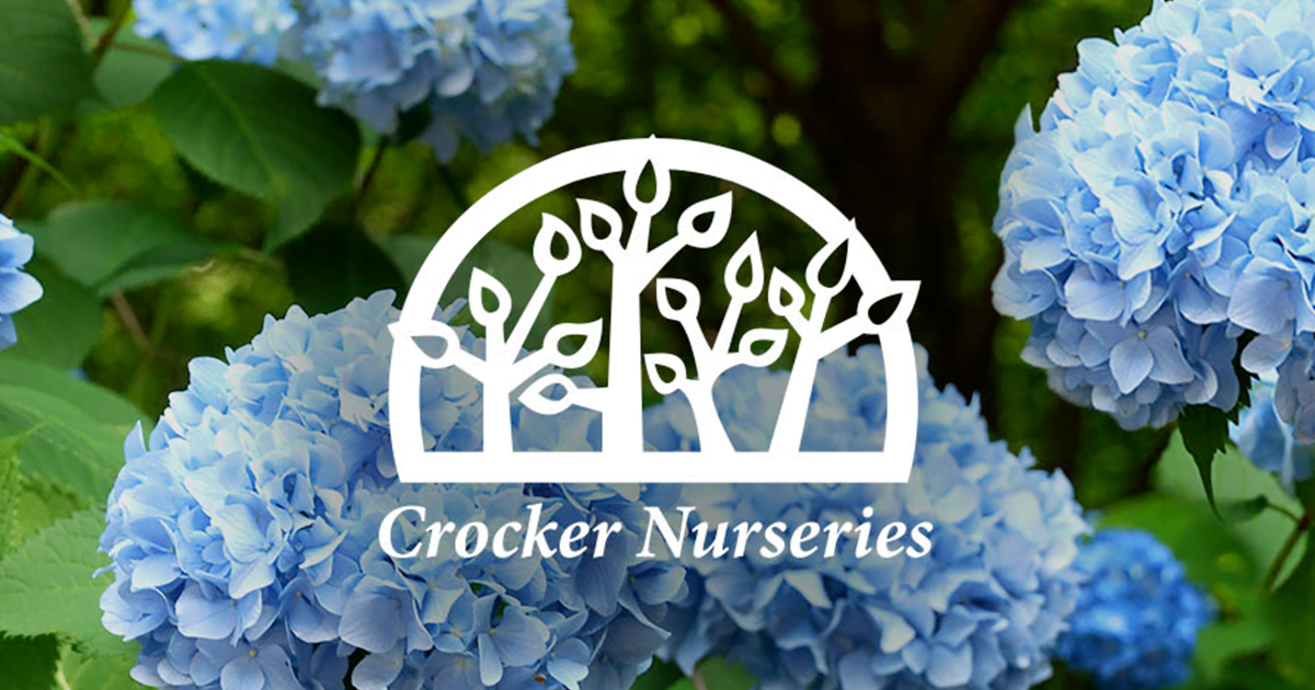 Crocker Nurseries